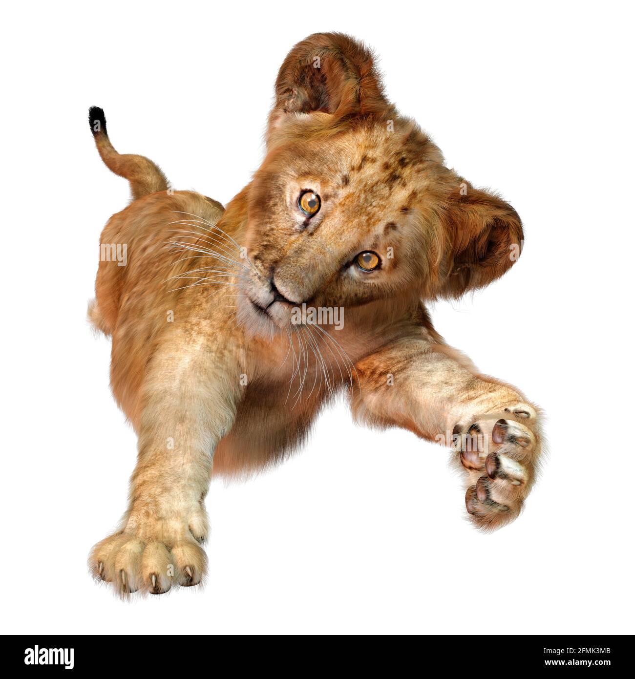 3D rendering of a cute lion cub isolated on white background Stock Photo