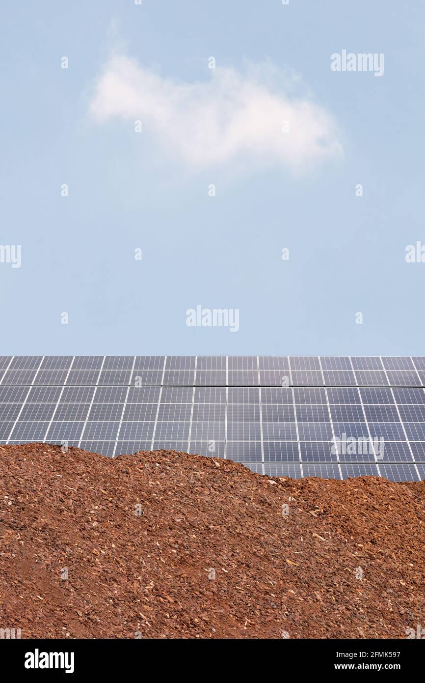 Pile of biomass in front of a large solar panel farm in The Netherlands with a blue sky Stock Photo