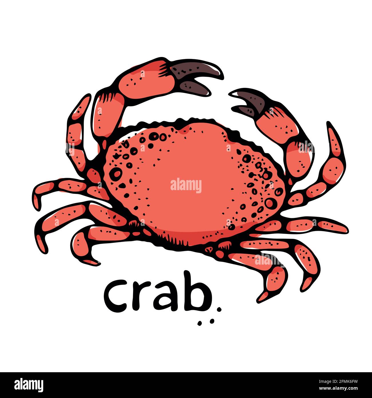 Crab vector illustration, hand drawn sketch, isolated on white ...