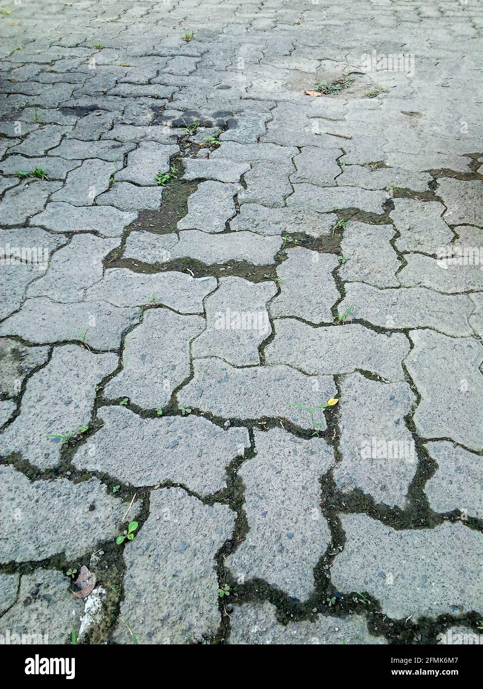 a color photo of brick road in the morning Stock Photo