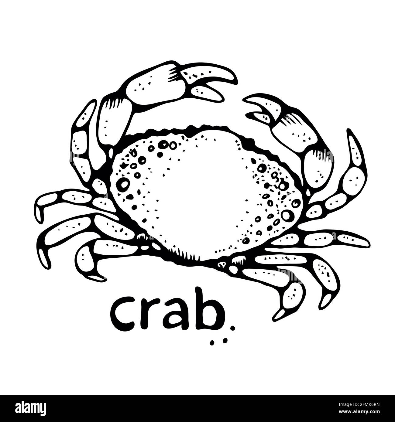 Crab vector illustration, hand drawn sketch, isolated on white