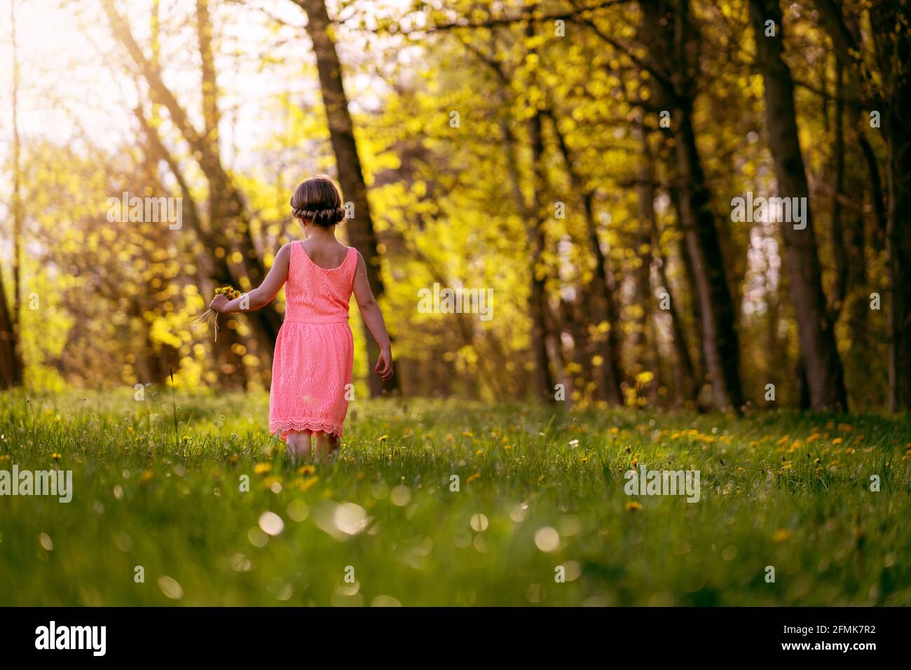 a sweet Girl on a field by sunset Stock Photo