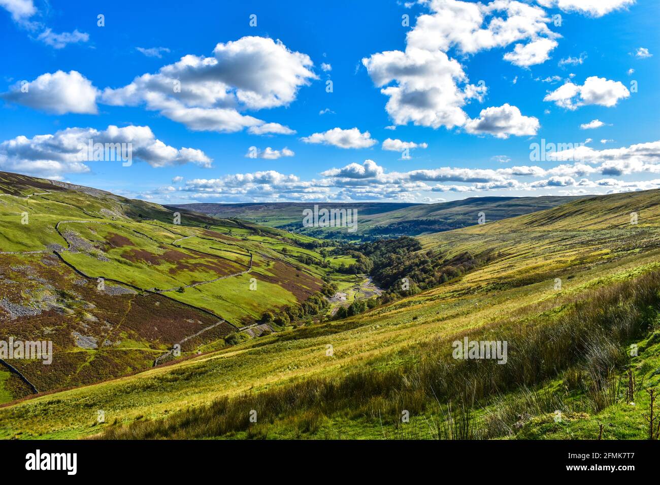 Swaledale in North Yorkshire Stock Photo Alamy