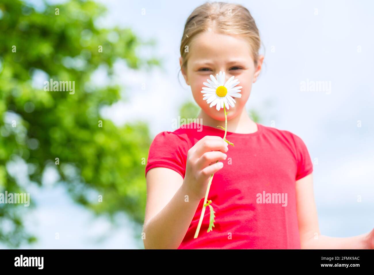 Girl holding outdoor on grassland a daisy flower in her hand Stock Photo