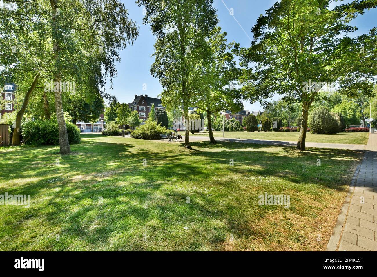 Green lawn and trees in park Stock Photo - Alamy