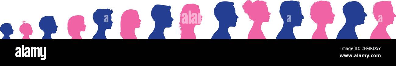 life graphic of male and female silhouettes. Vector illustration Stock ...