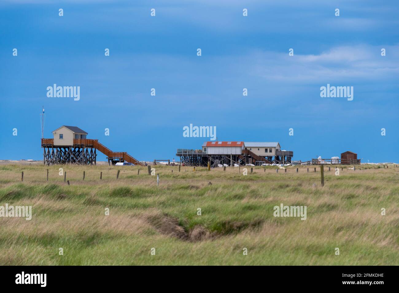 Stilt house in the salt marshes of Sankt Peter-Ording Stock Photo