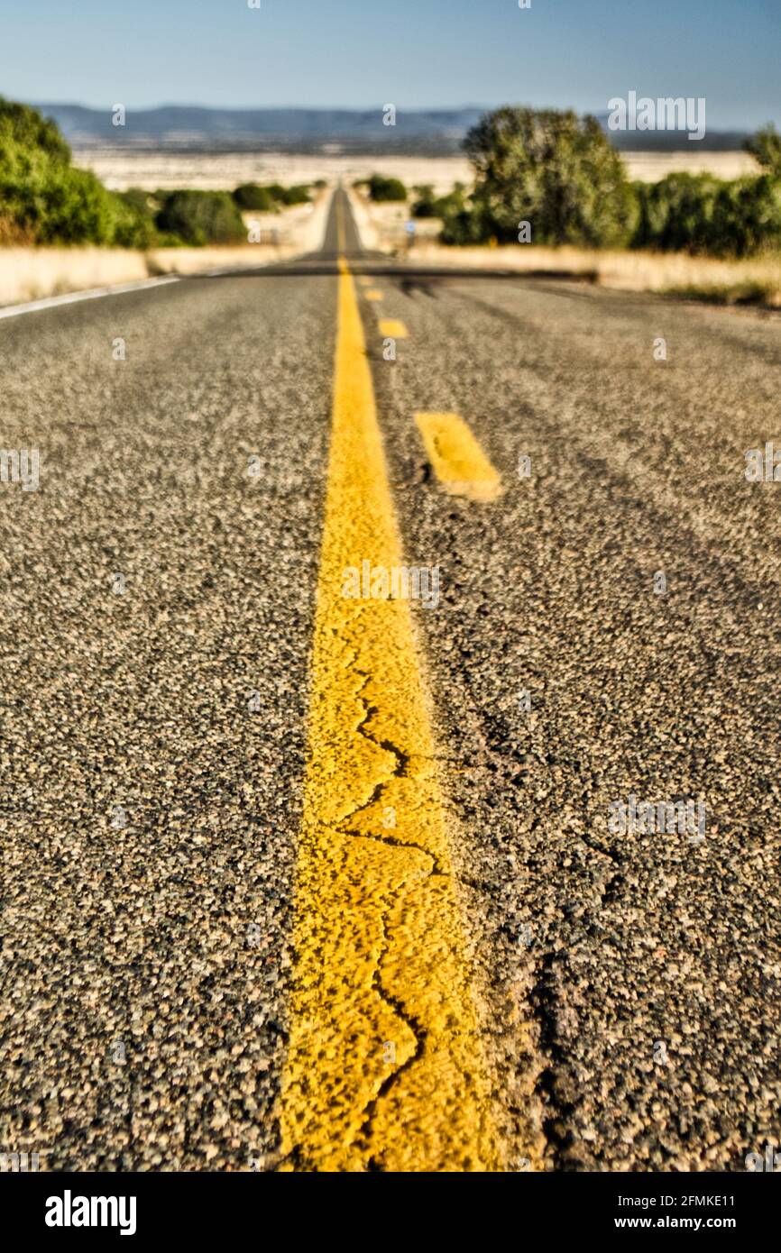 Vertical shot of a long asphalt road with a yellow line surrounded by ...