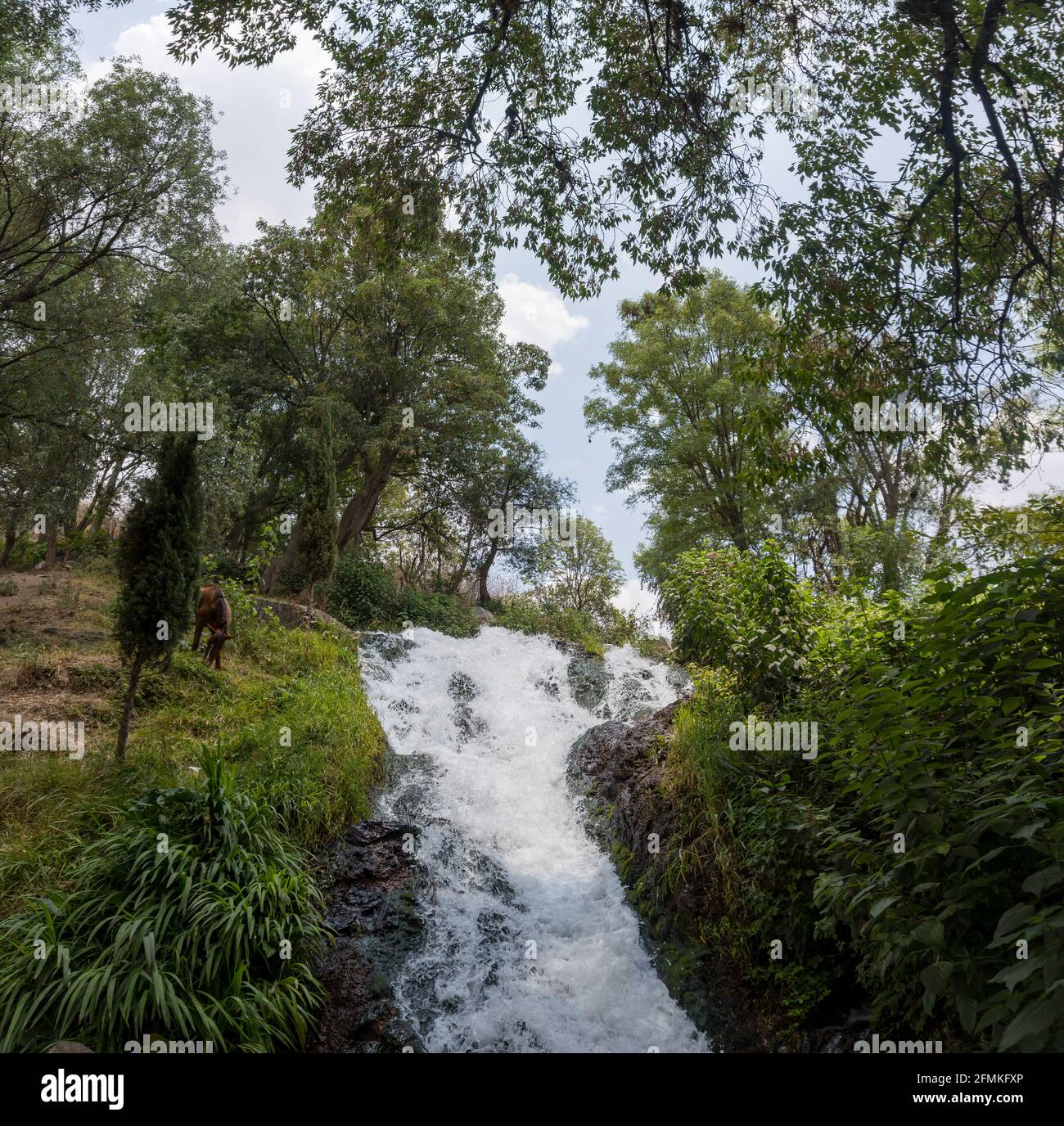San Pedro Atlixco waterfall in Mexico Stock Photo - Alamy