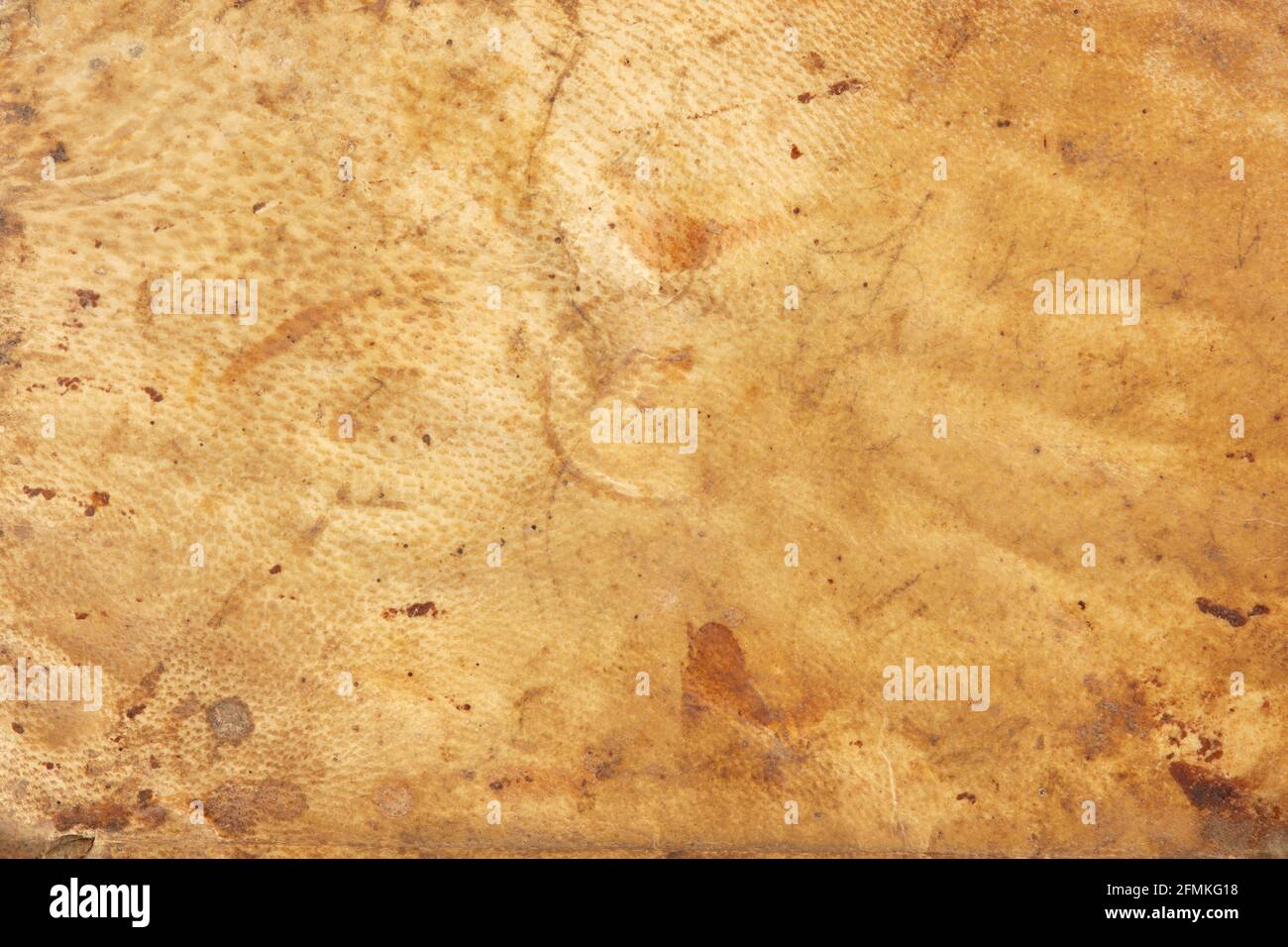 Old parchment leather texture background Stock Photo