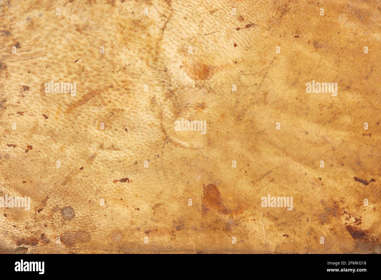 Old parchment leather texture background Stock Photo Alamy