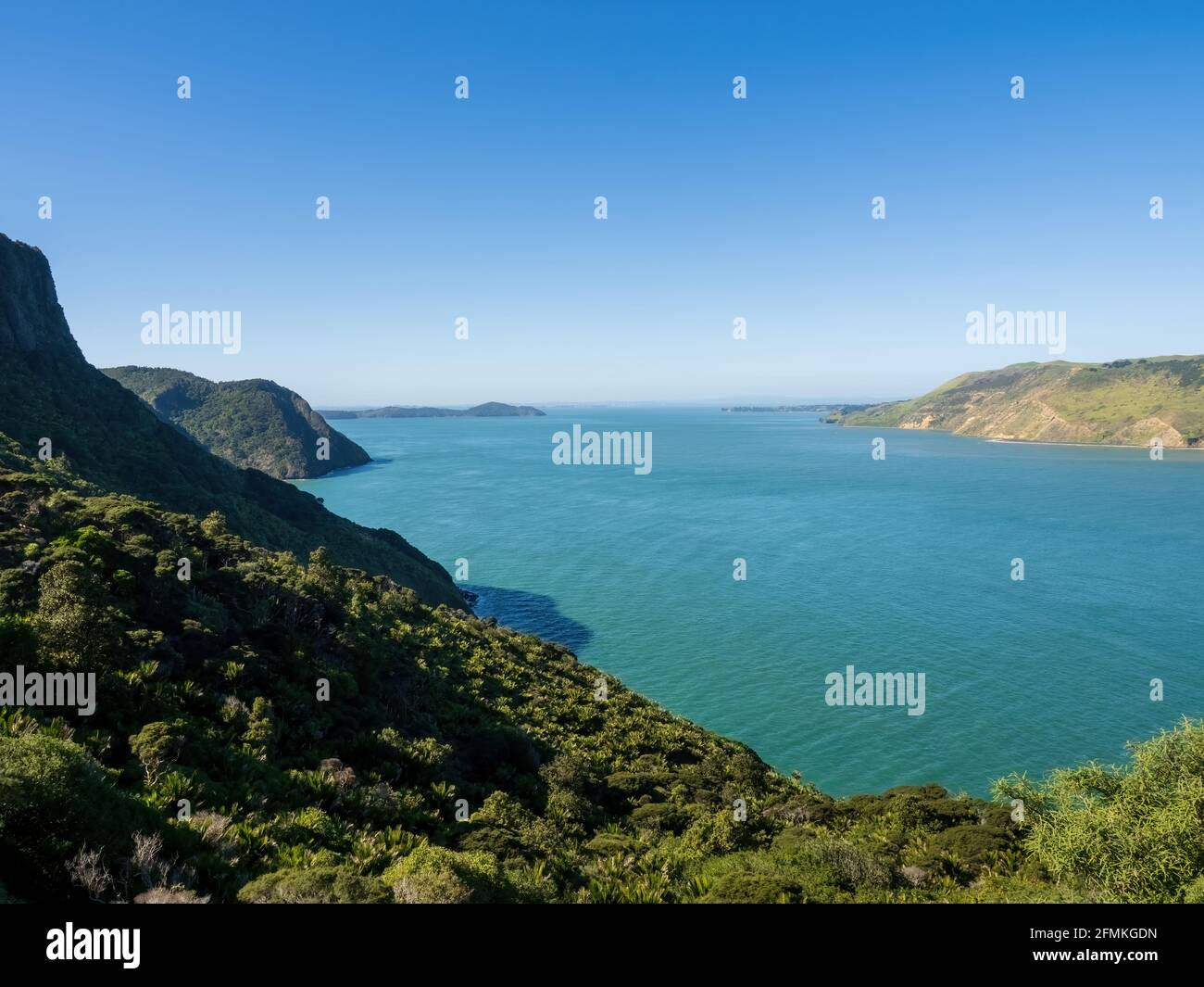 Manukau Harbour from Omanawanui Track Stock Photo Alamy