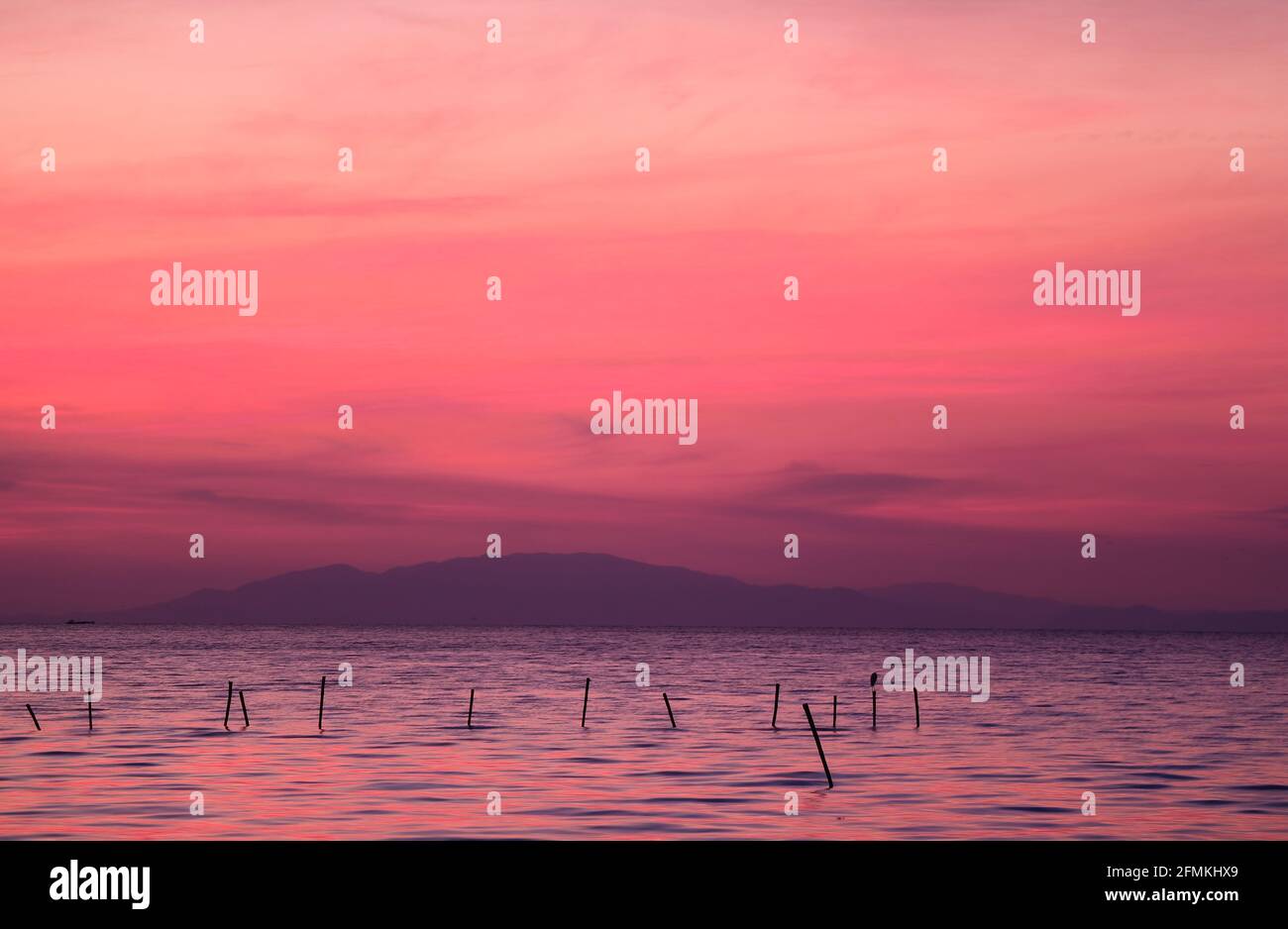 Pink Mauve Purple Dawn Sky High Resolution Stock Photography and Images ...