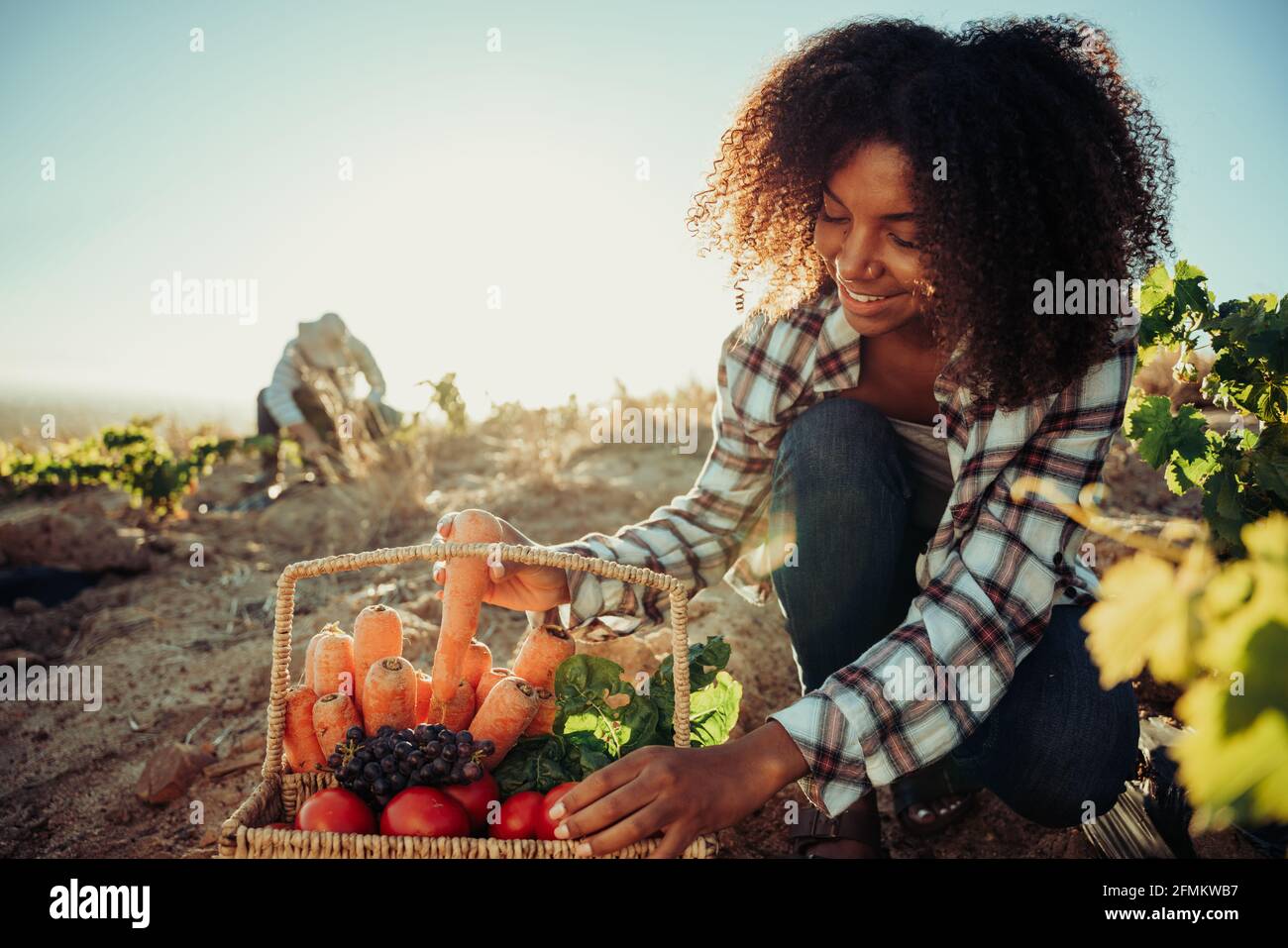 Mixed race female farmer smiling gathering fresh produce while male colleague harvests Stock Photo