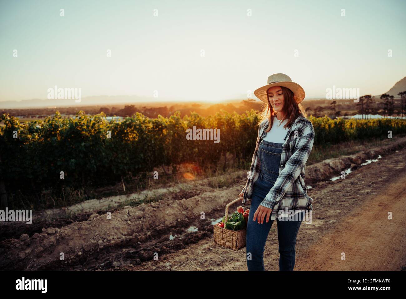 Caucasian female farmer walking through vineyards with fresh vegetables in basket Stock Photo