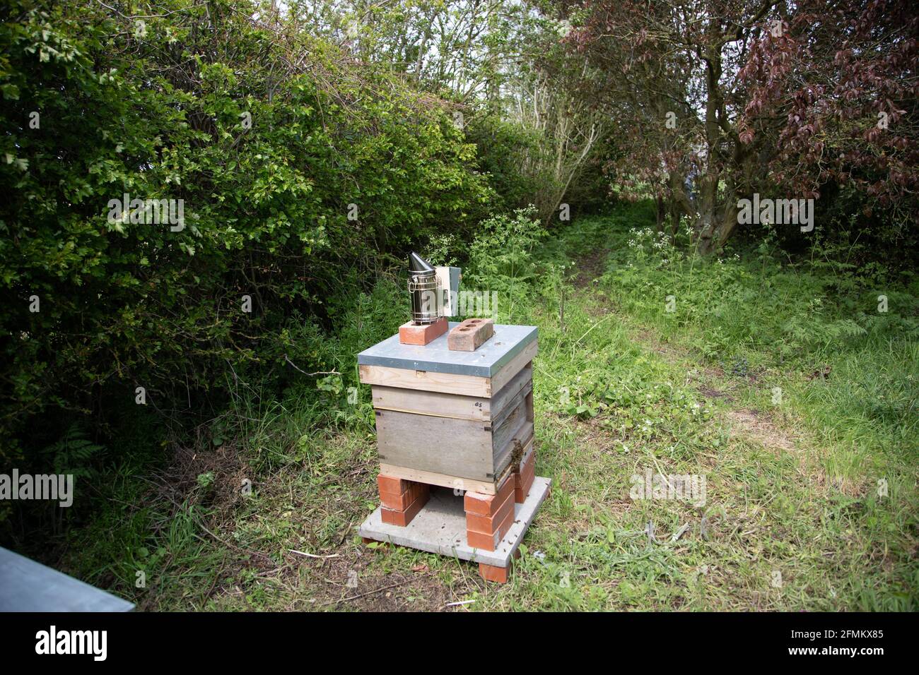 Bee hive with bee smoker on top Stock Photo Alamy