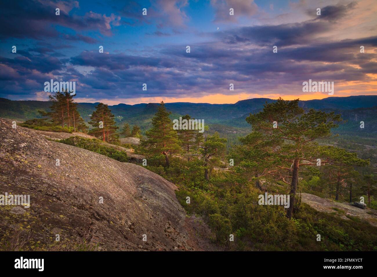 Colorful skies, pine trees, and spring evening light at Måfjell in Nissedal, Telemark, Norway, Scandinavia. Stock Photo