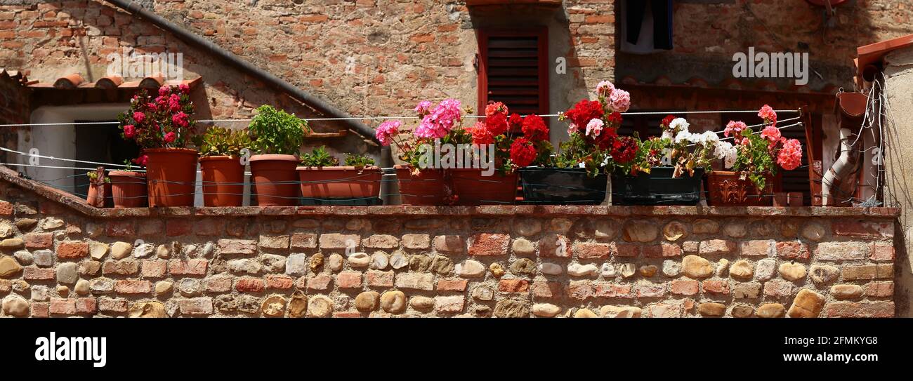 Beautiful flowers in ceramic pots on ancient brick wall. Certaldo Alto. Tuscany. Italy. Stock Photo