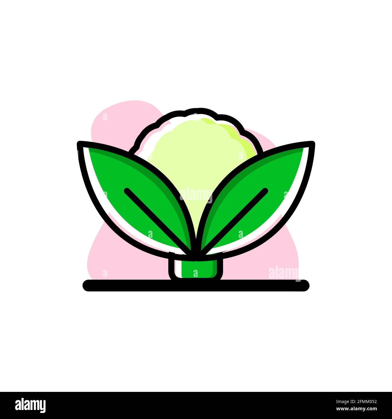 Cauliflower Conceptual Vector Icon Illustration Design eps10 Stock Vector