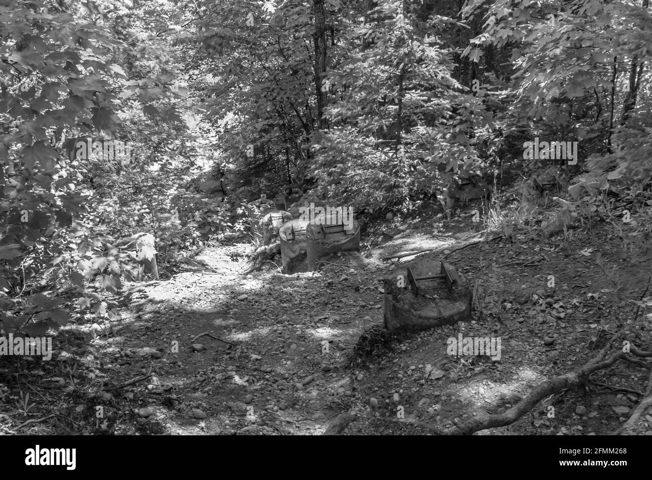 Crystal Falls and Minnehaha Falls Conservation Area Ontario Canada in