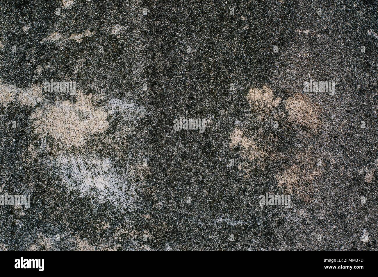 gray concrete wall with stains for background Stock Photo