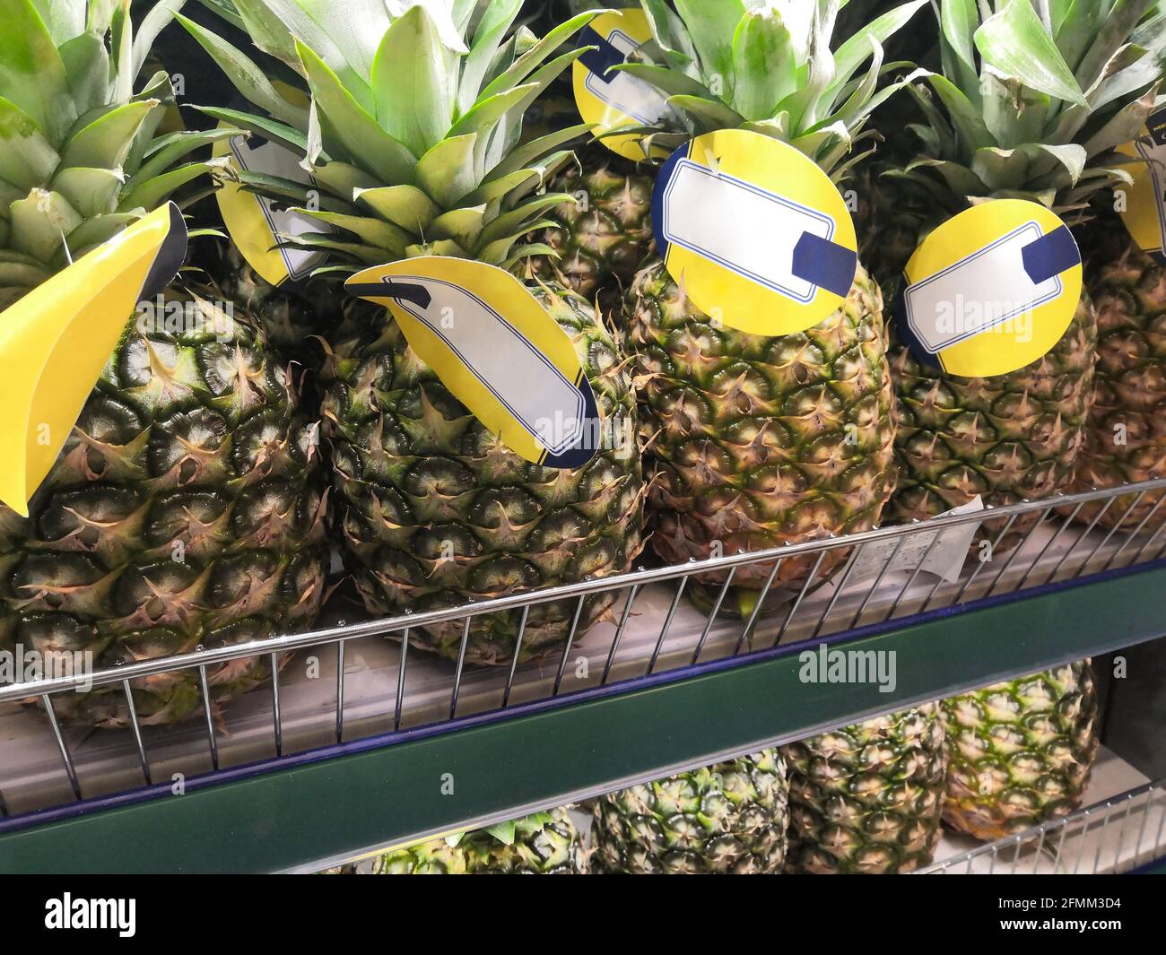 Parts Of A Pineapple Plant Nomenclature 3part Cards Ireland