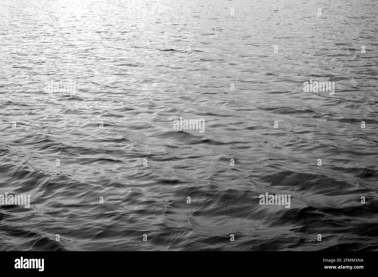 Black and white shot of a calm sea background Stock Photo - Alamy