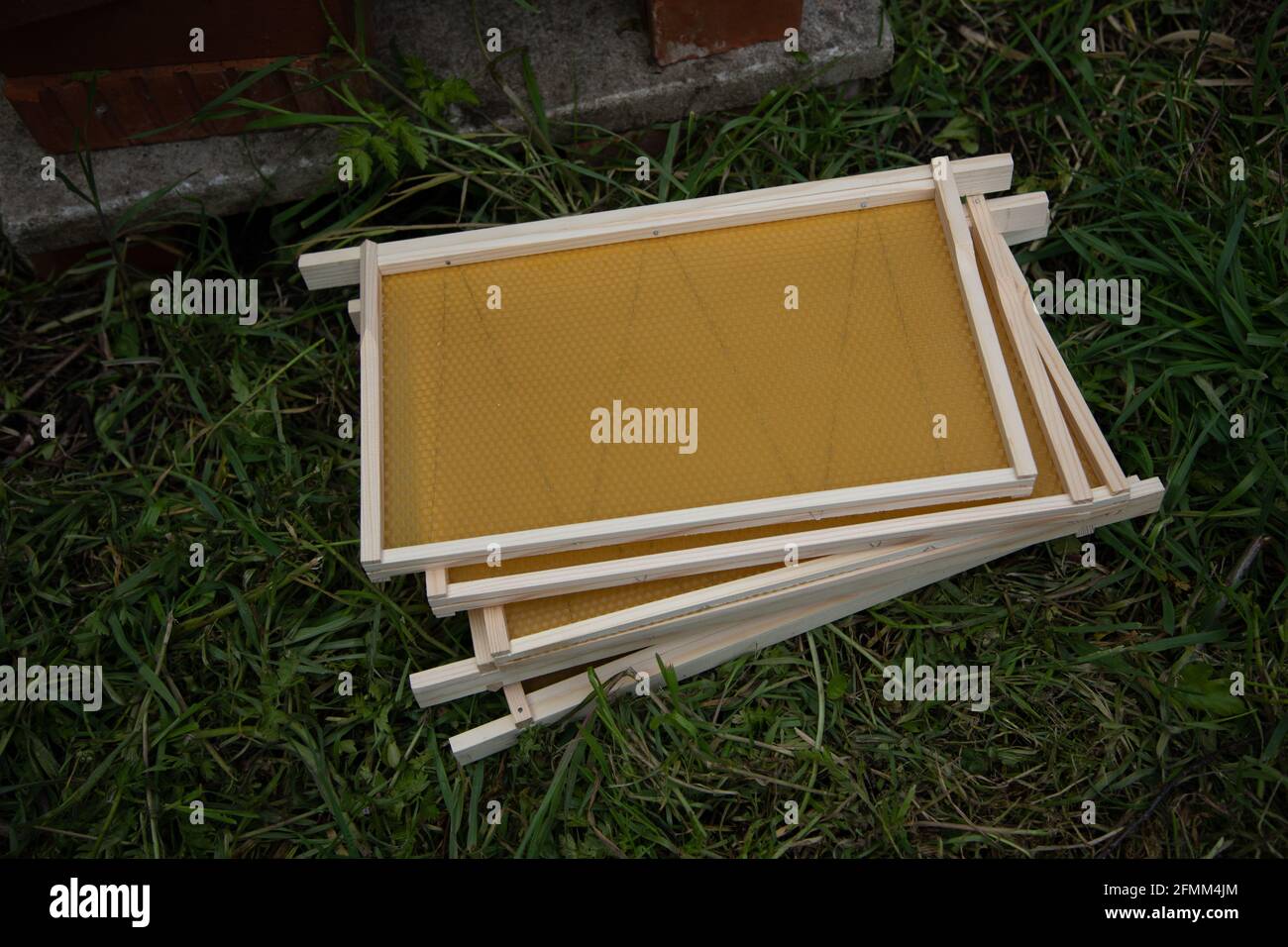 New brood frames with foundation Stock Photo