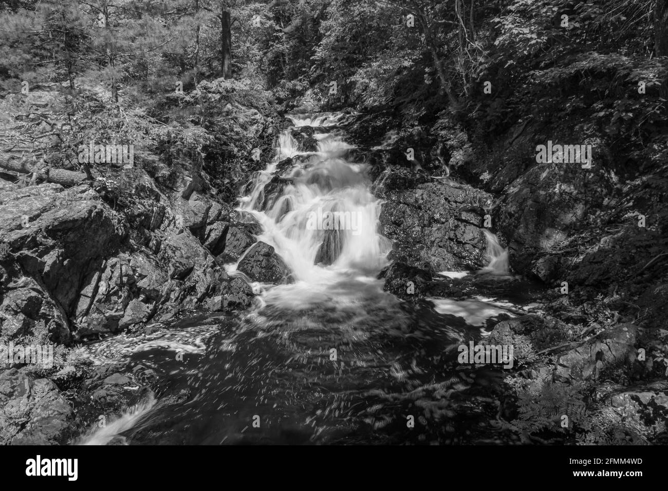 Crystal Falls and Minnehaha Falls Conservation Area Ontario Canada in