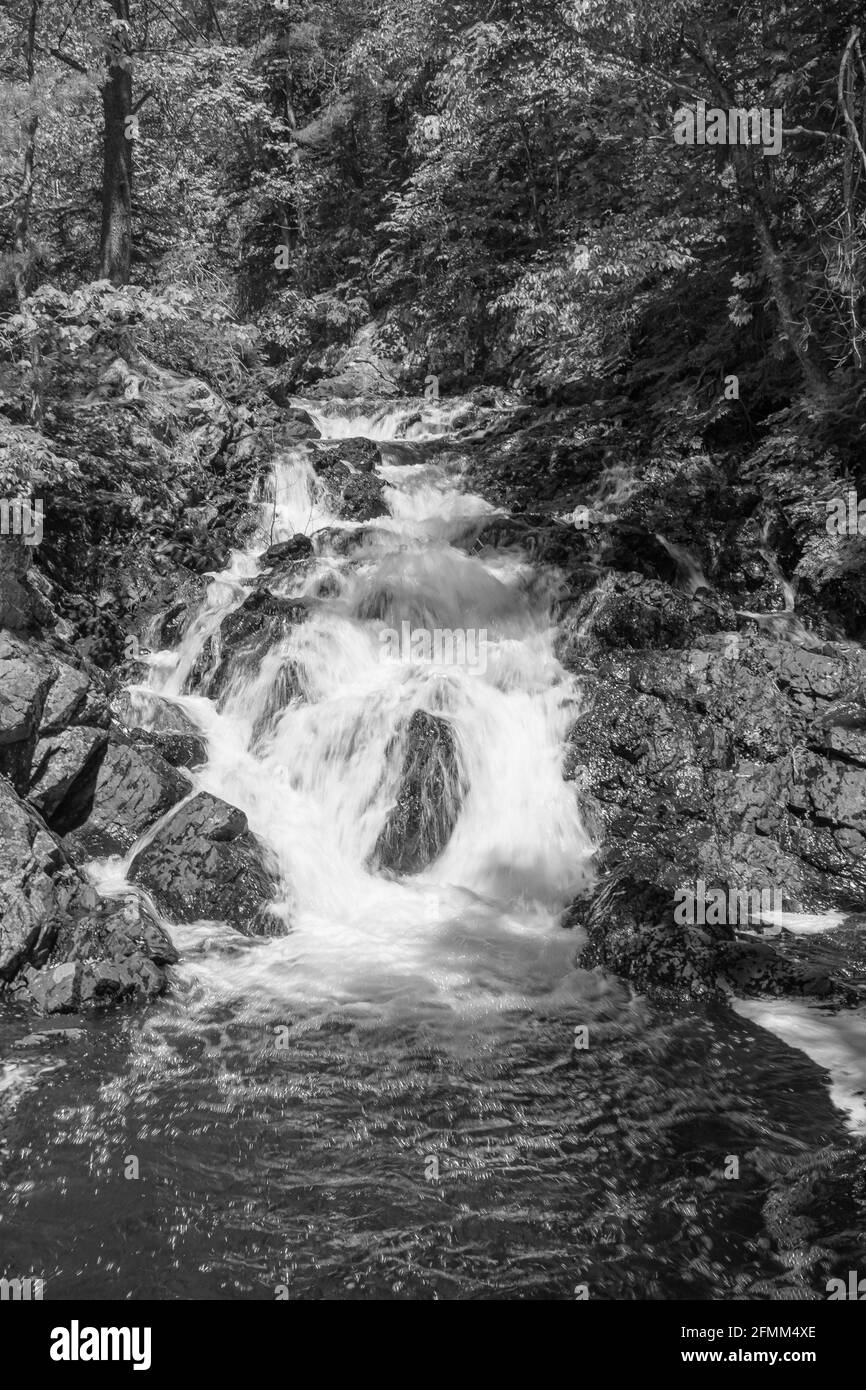 Crystal Falls and Minnehaha Falls Conservation Area Ontario Canada in