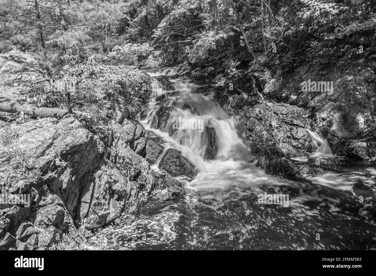 Crystal Falls and Minnehaha Falls Conservation Area Ontario Canada in