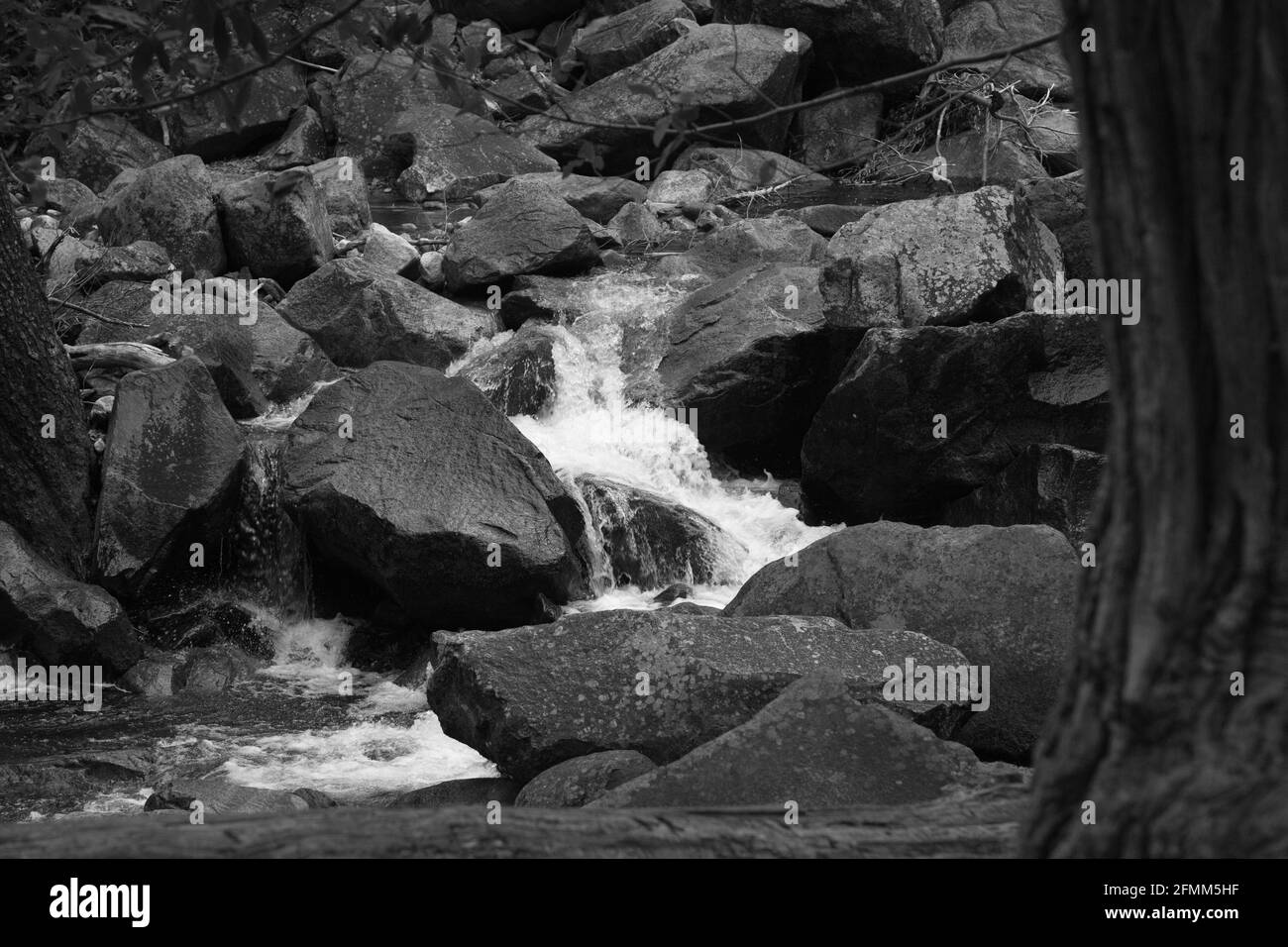 Cascading Stream in Black and White Stock Photo