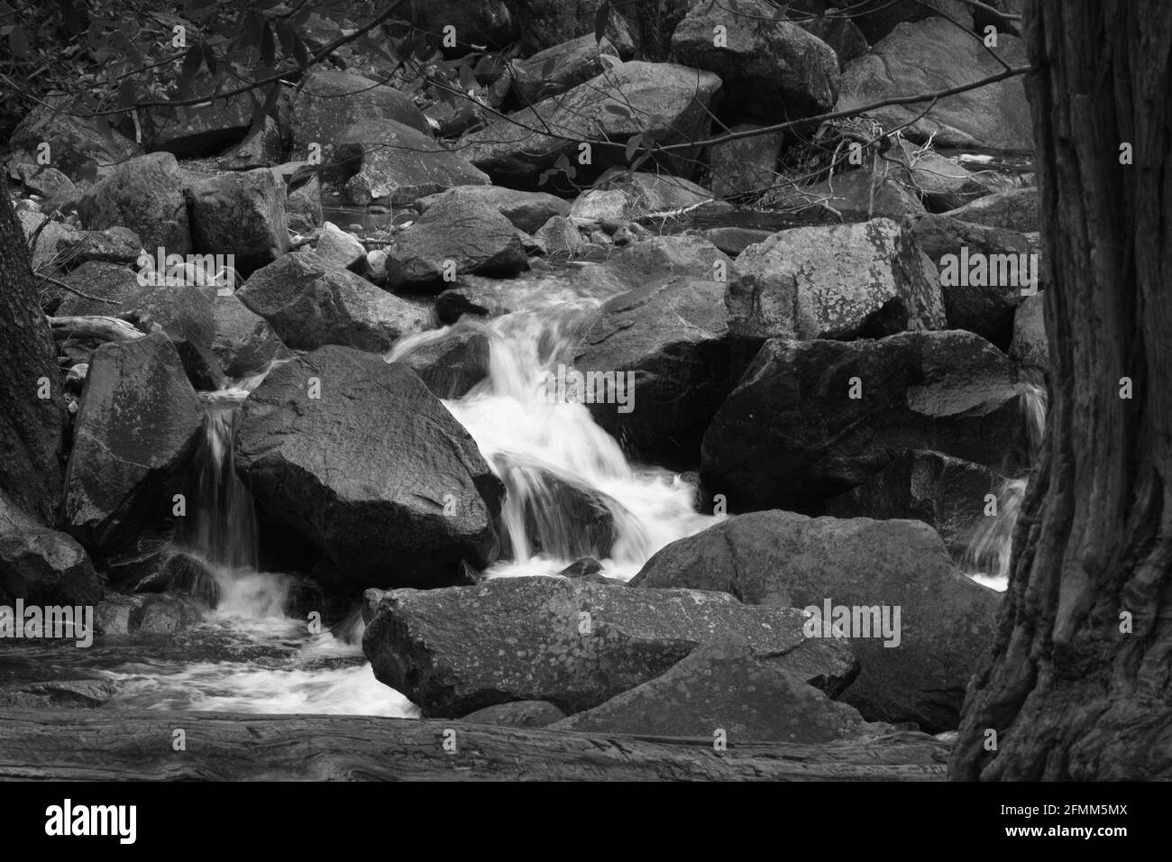 Cascading Stream in Black and White Stock Photo