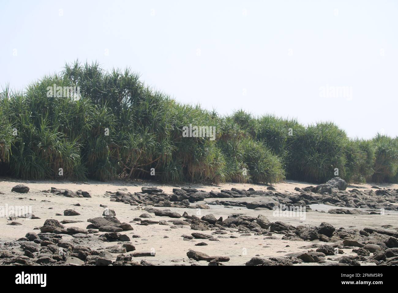 The beautiful scenery of saint martin island of Bangladesh reef scenery Sea beach scenery Stock Photo