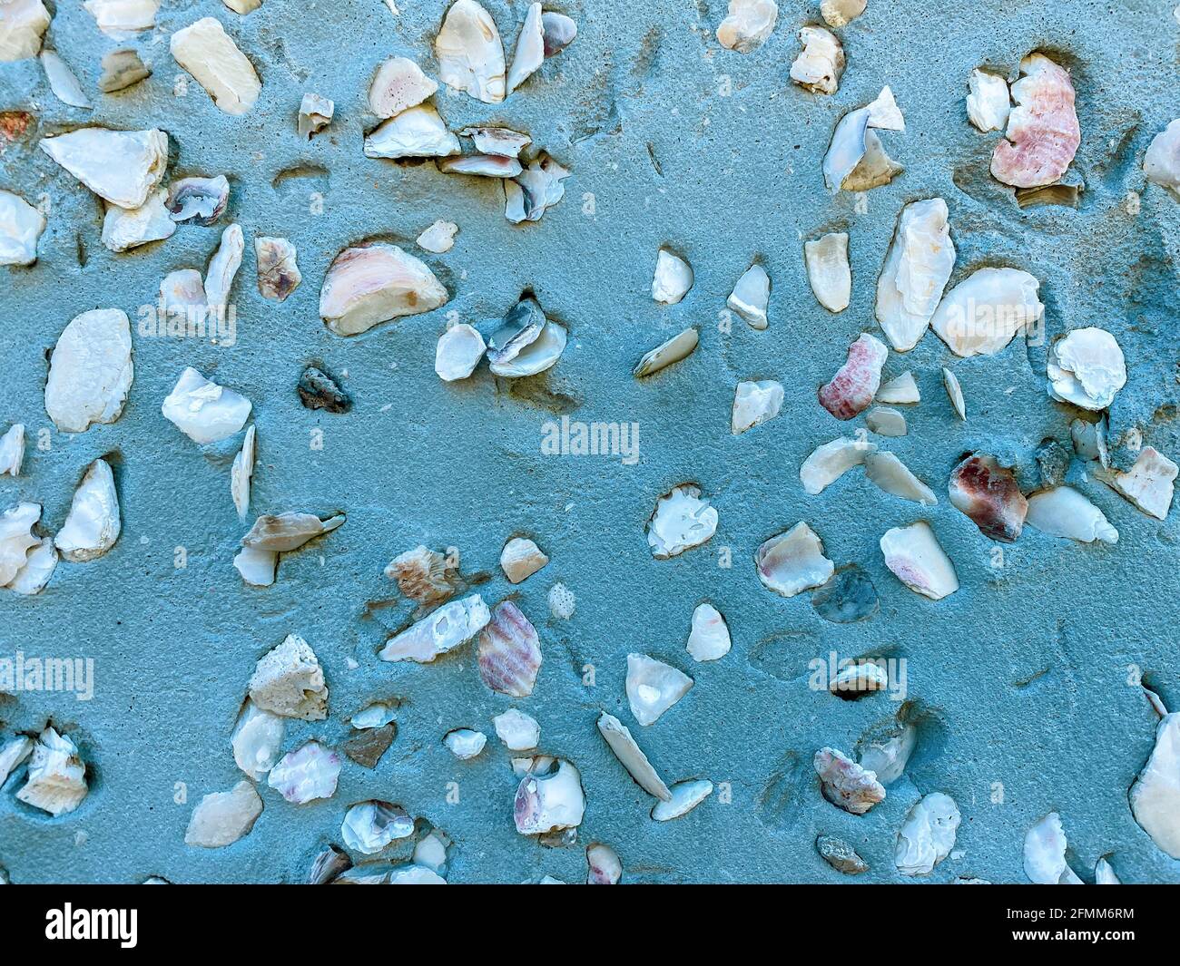 closeup view of concrete stucco blue seawall with embedded ocean shells ...