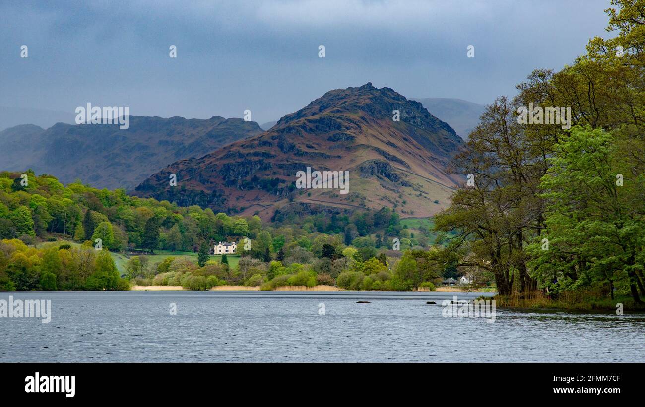 Grasmere, Cumbria, UK. 10th May, 2021. Grasmere, Cumbria in the Lake District on a showery day in Cumbria, UK. William Wordsworth lived in Grasmere for 14 years and called it 'the loveliest spot that man hath ever found.' Credit: John Eveson/Alamy Live News Stock Photo