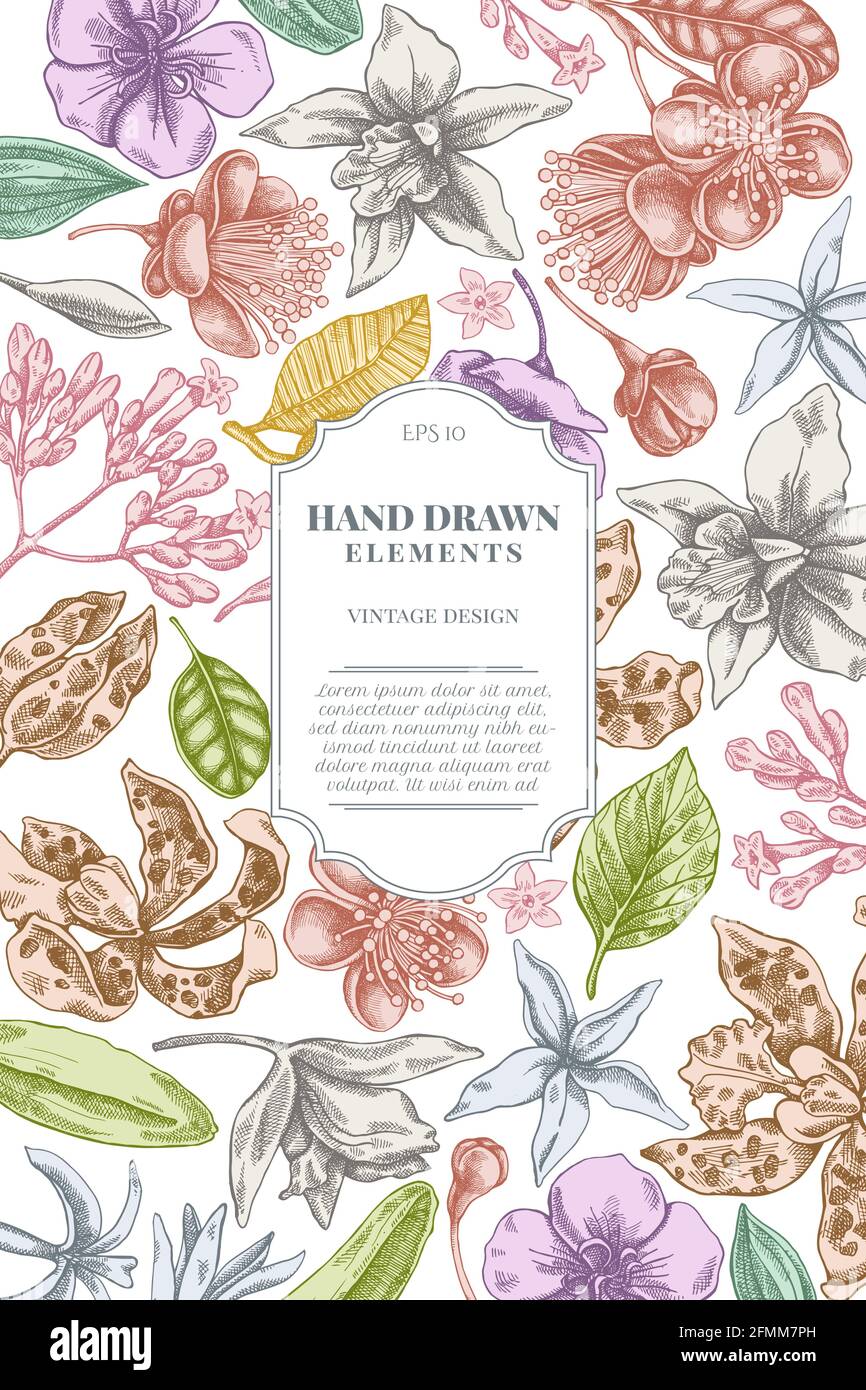 Card design with pastel laelia, feijoa flowers, glory bush, papilio torquatus, cinchona, cattleya aclandiae Stock Vector