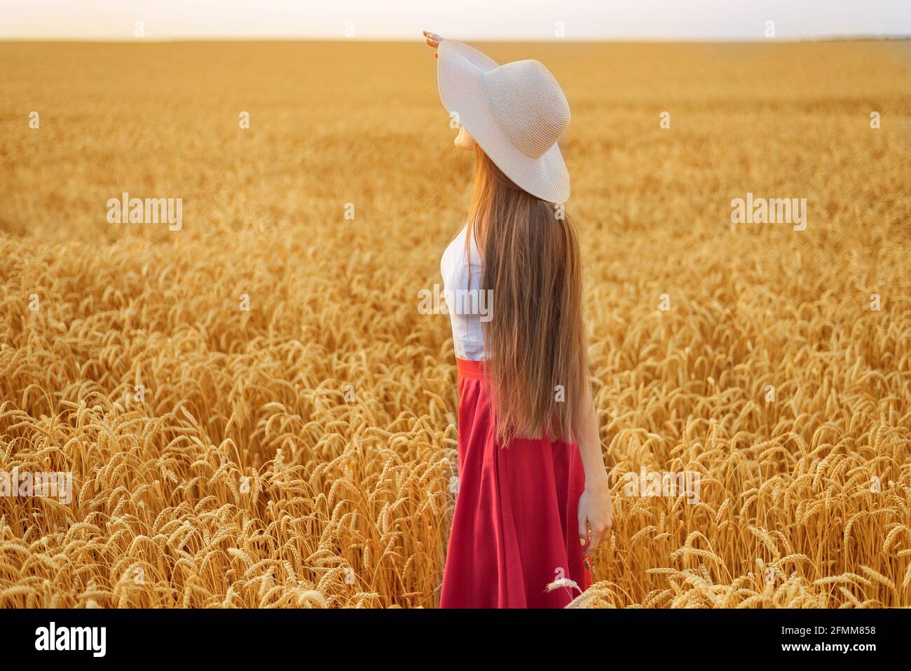 Young woman in hat with beautiful long hair on ripe wheat background ...