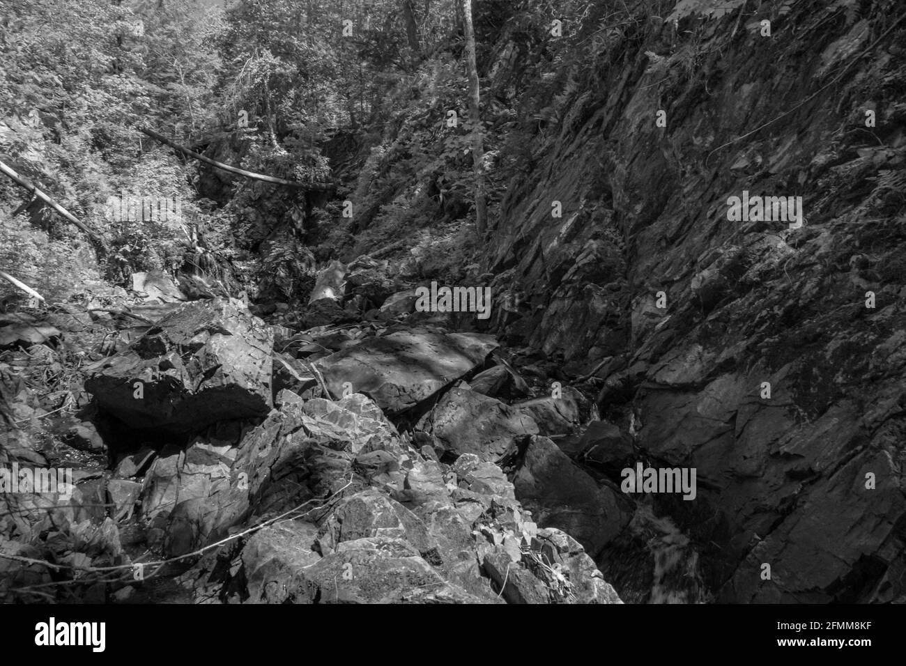 Crystal Falls and Minnehaha Falls Conservation Area Ontario Canada in