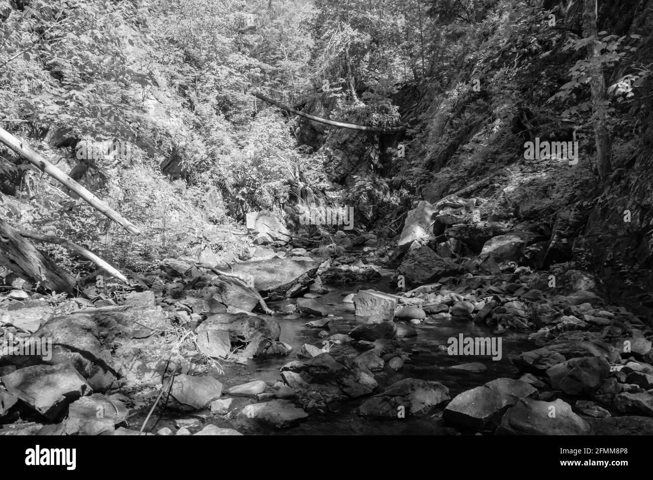 Crystal Falls and Minnehaha Falls Conservation Area Ontario Canada in