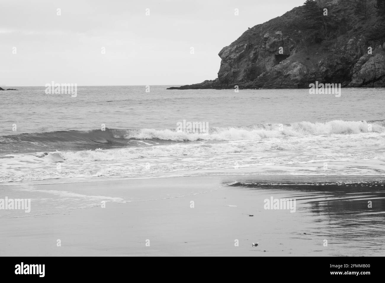 California beach in black and white Stock Photo - Alamy