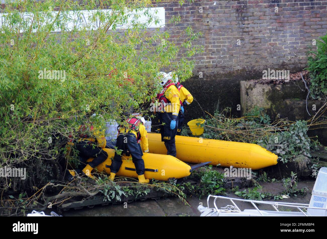 London, UK, 10 May 2021 The moment the  young whale is euthanised after being trapped in the bushes.  Minke whale at Teddington Lock in the Thames. Credit: JOHNNY ARMSTEAD/Alamy Live News Stock Photo