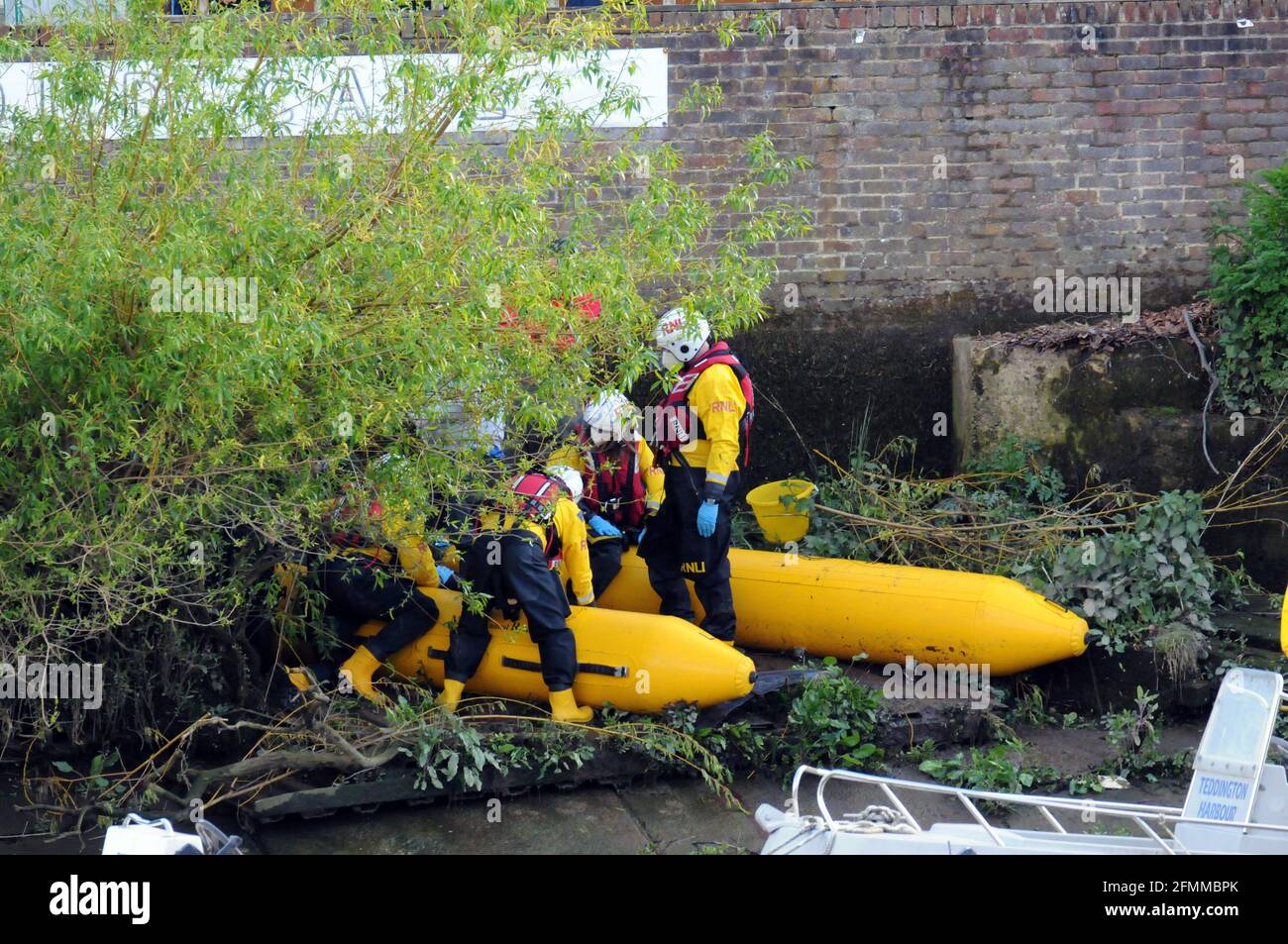 London, UK. 10th May, 2021. Young Minke whale at Teddington Lock in the Thames. RNLI waited until the tide went out to attempt a rescue which eventually lead to euthanazia of the whale.The whale was originally trapped at Richmond lock but escaped when being taken to a safe place.  Credit: JOHNNY ARMSTEAD/Alamy Live News Stock Photo
