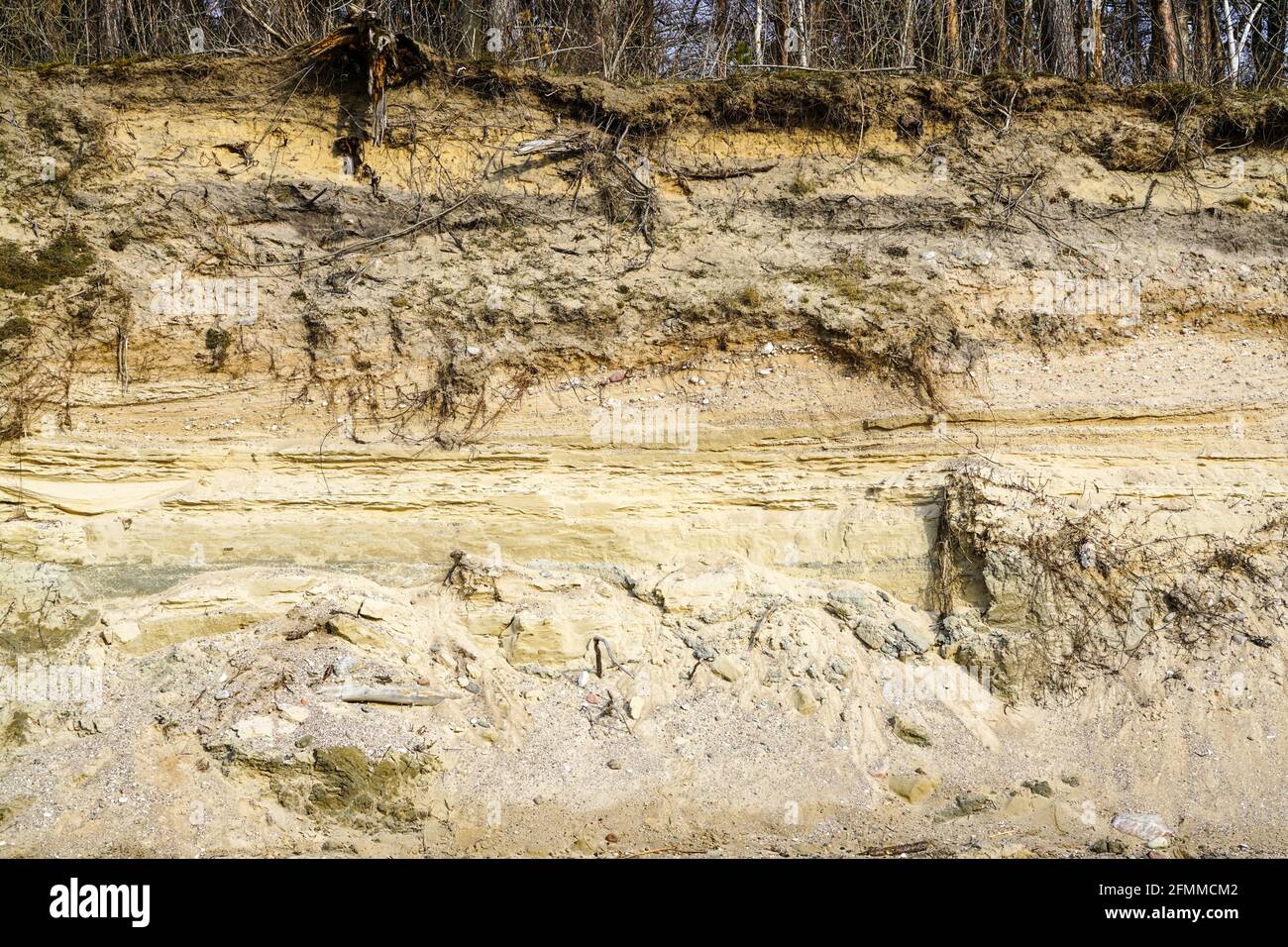 coastal erosion has exposed various layers of the earth Stock Photo - Alamy