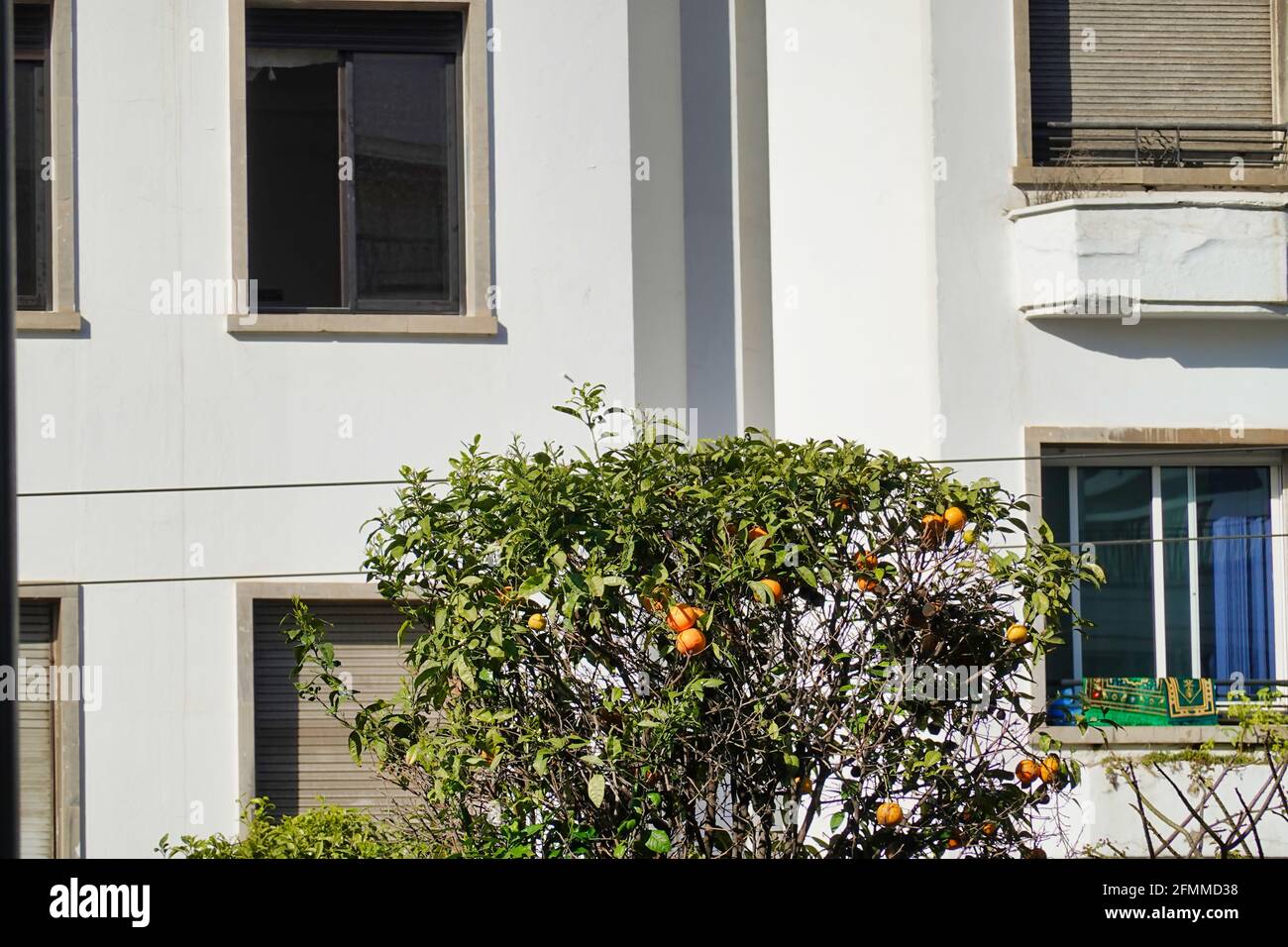 Tree branches and windows hi-res stock photography and images - Alamy