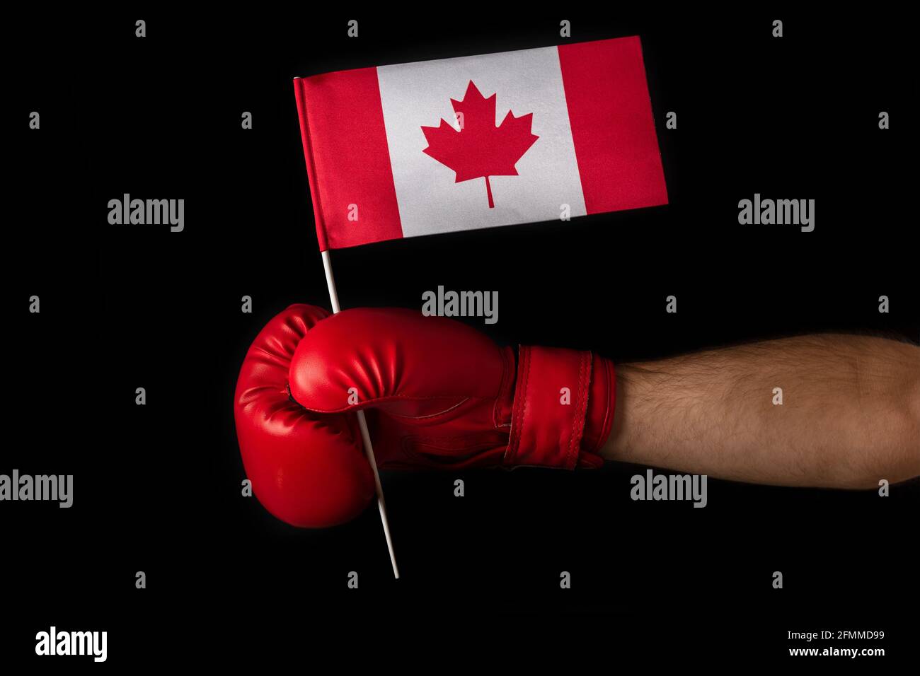 Boxer hand holds flag of Canada. Boxing glove with the Canadian flag ...