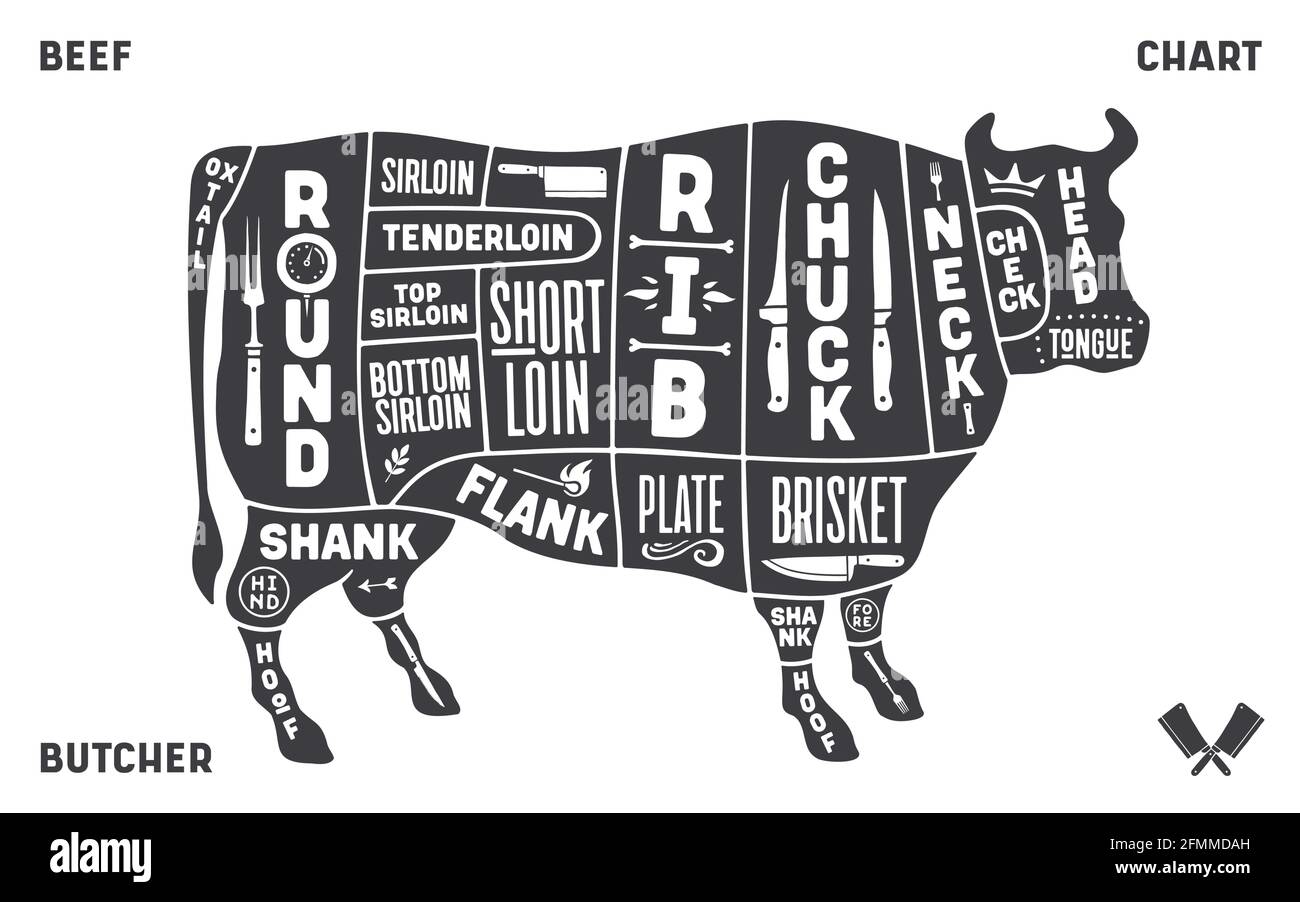 Cow, beef. Scheme, diagram, chart beef, butcher guide ...