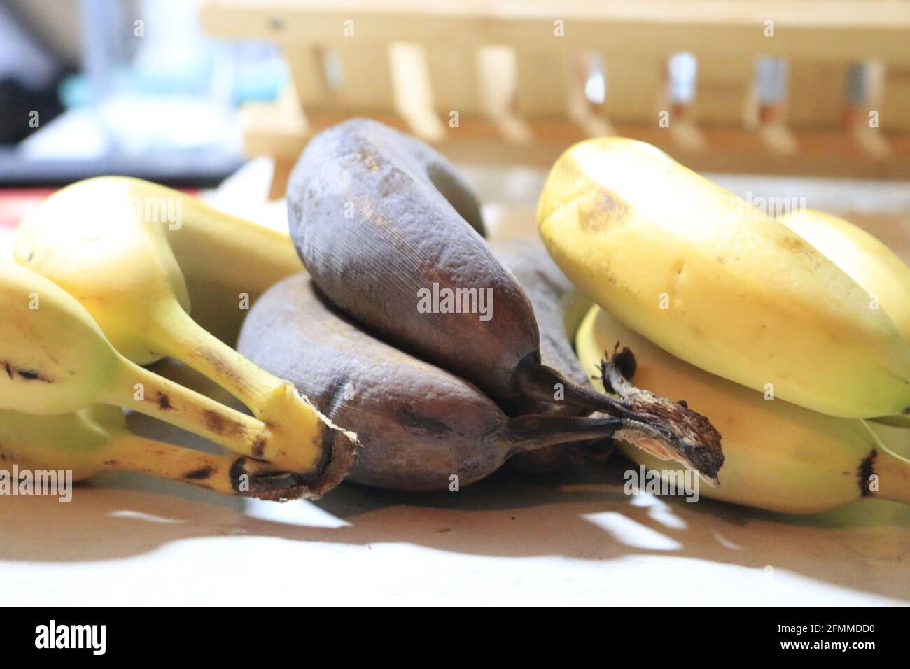 Macro closeup of fresh peeled yellow bananas in plastic blender container  for fruit homemade smoothie Stock Photo - Alamy