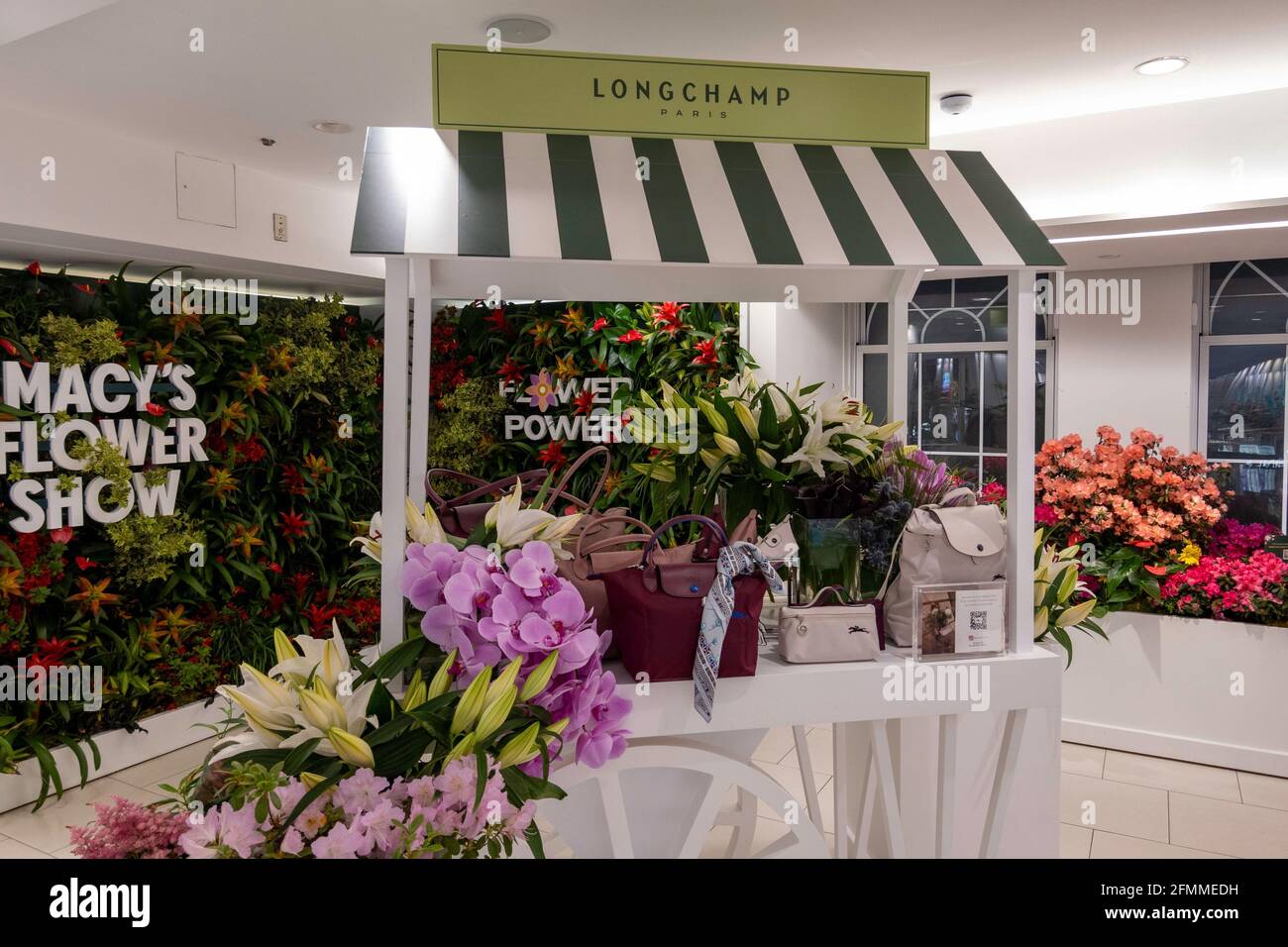 longchamp at macy's