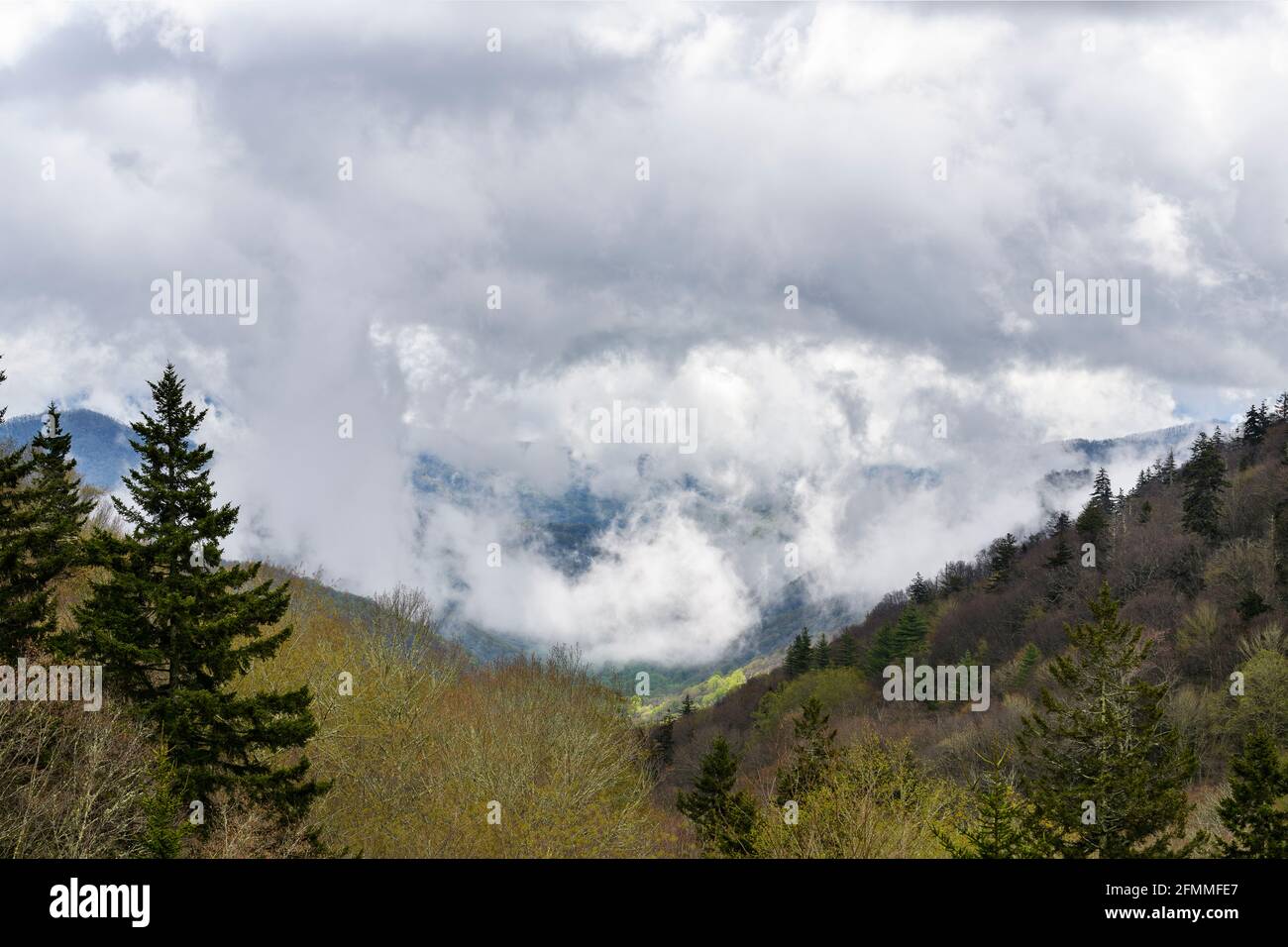 Clouds moving thorugh Newfound Gap, Great Smoky Mountains National Park, North Carolina Stock Photo